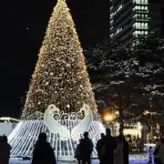 もこの画像