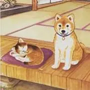わんこ