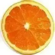 toshiの画像