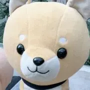 ハチマルの画像