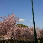 じゅんの画像
