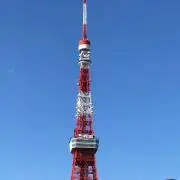 Sunflowerの画像