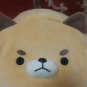 むっくの画像