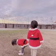 りんごの画像