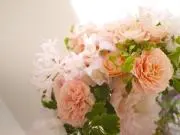 z.d.w.s.の画像