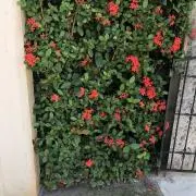 …♡の画像