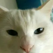 めぐみるく♪