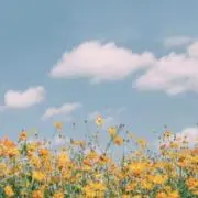 inaの画像