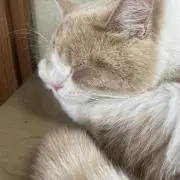 Junの画像