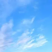 シナもんの画像
