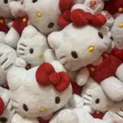 めの画像