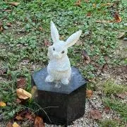 rimの画像