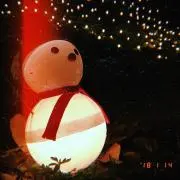 ゆきだまの画像