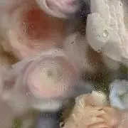 サリーの画像