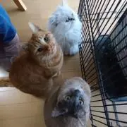 *のん*