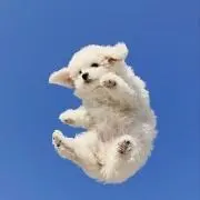 杏仁【即日発送◎】の画像