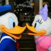 daisy★の画像