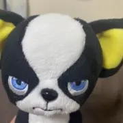 にゃんの画像