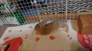 みとの画像