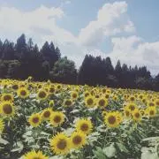 友永の画像