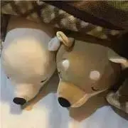 ゆうの画像