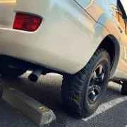 Wasabiの画像