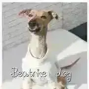 nnonの画像