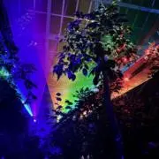 lightの画像