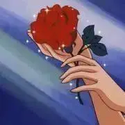 suniの画像