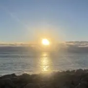オハナの画像