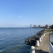 はるの画像
