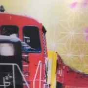 ビッキーの画像
