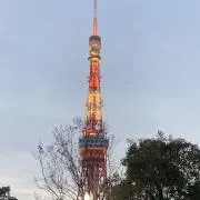 シロの画像