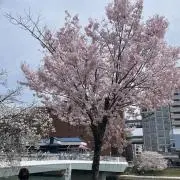 おまとめ大歓迎の画像