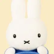 こまちゃんの画像