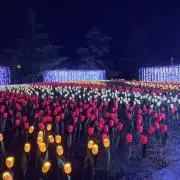 korisettoの画像
