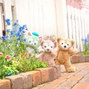 こんぽた