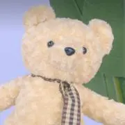 しろくまの画像