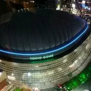 YGの画像