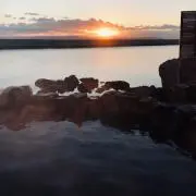 516
