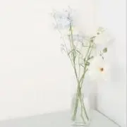 yuka shopの画像