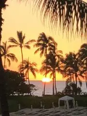 tmtm34の画像