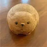 バンビ⭐︎プロフ一読願います⭐︎の画像
