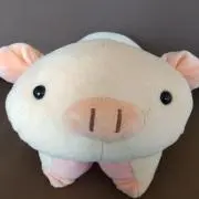 たーちゃんの画像