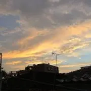 沙加の画像