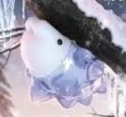 シルバーネこの画像
