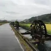 うどんの画像