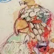 Uriの画像