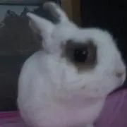あいす