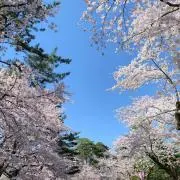RandA.の画像